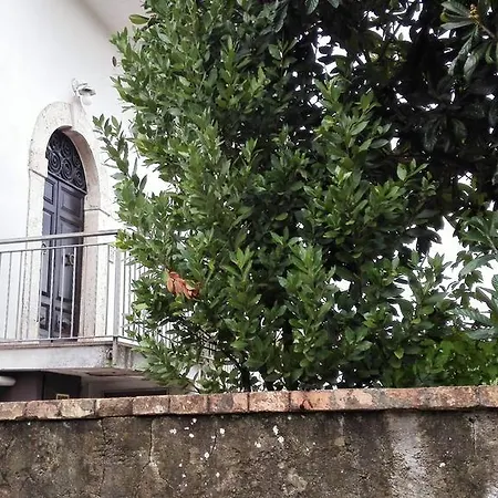 Appartement La Civetta